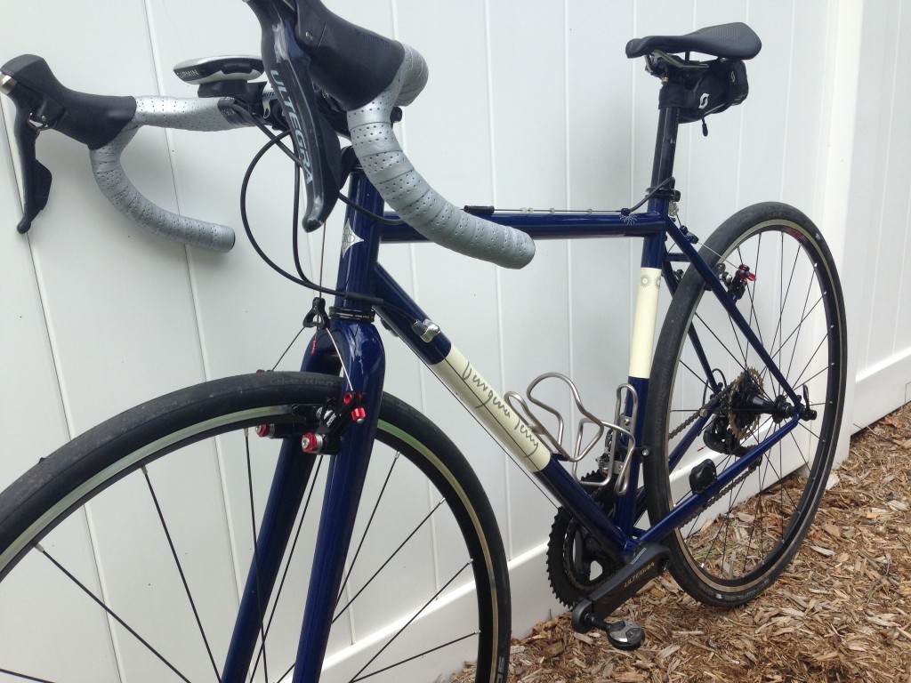Georgena Terry Bicycles Gale Force