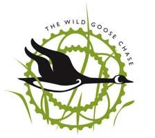 The Wild Goose Chase