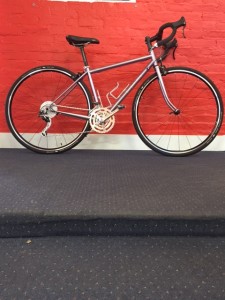 Georgena Terry Bicycles Gale Force